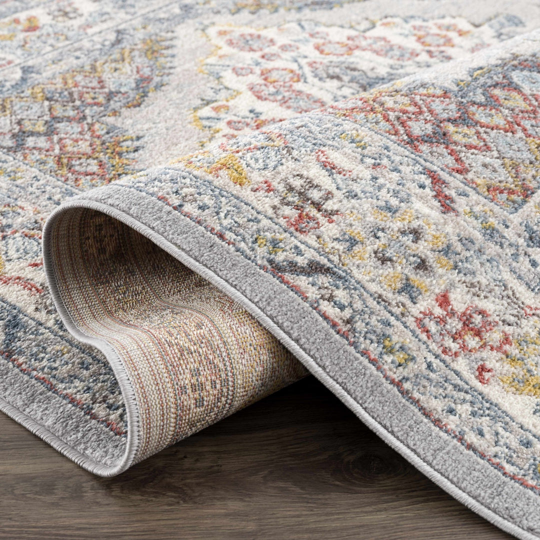 Antique look Traditional Machine Woven Tan, Charcoal, Ivory and Rust Multi Size Rug - The Rug Decor