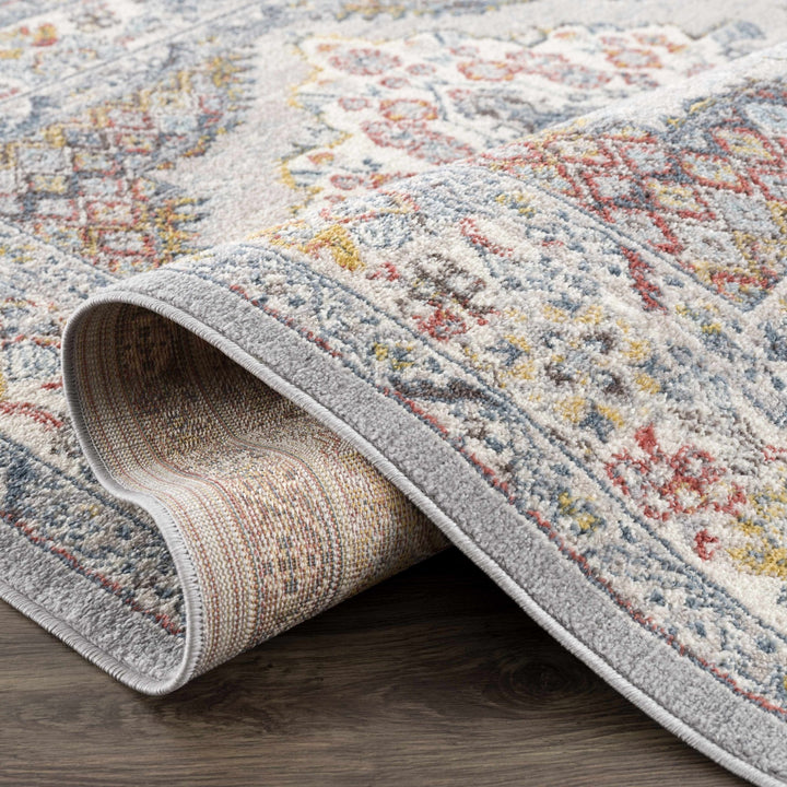 Antique look Traditional Machine Woven Tan, Charcoal, Ivory and Rust Multi Size Rug - The Rug Decor