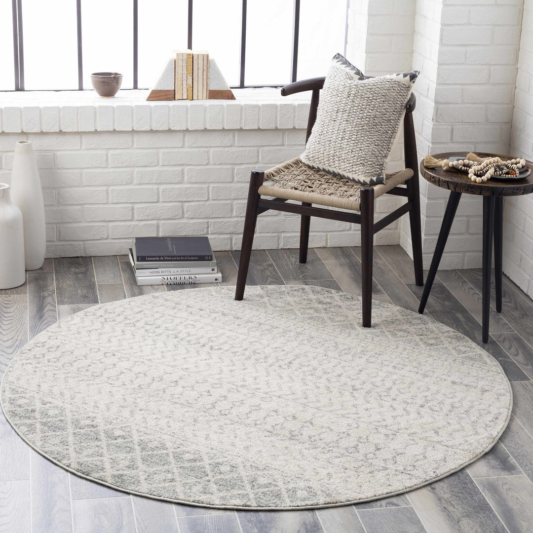 Beige and Gray Tribal Look Traditional Geometrical Design Multi Size Machine Woven Rug - The Rug Decor