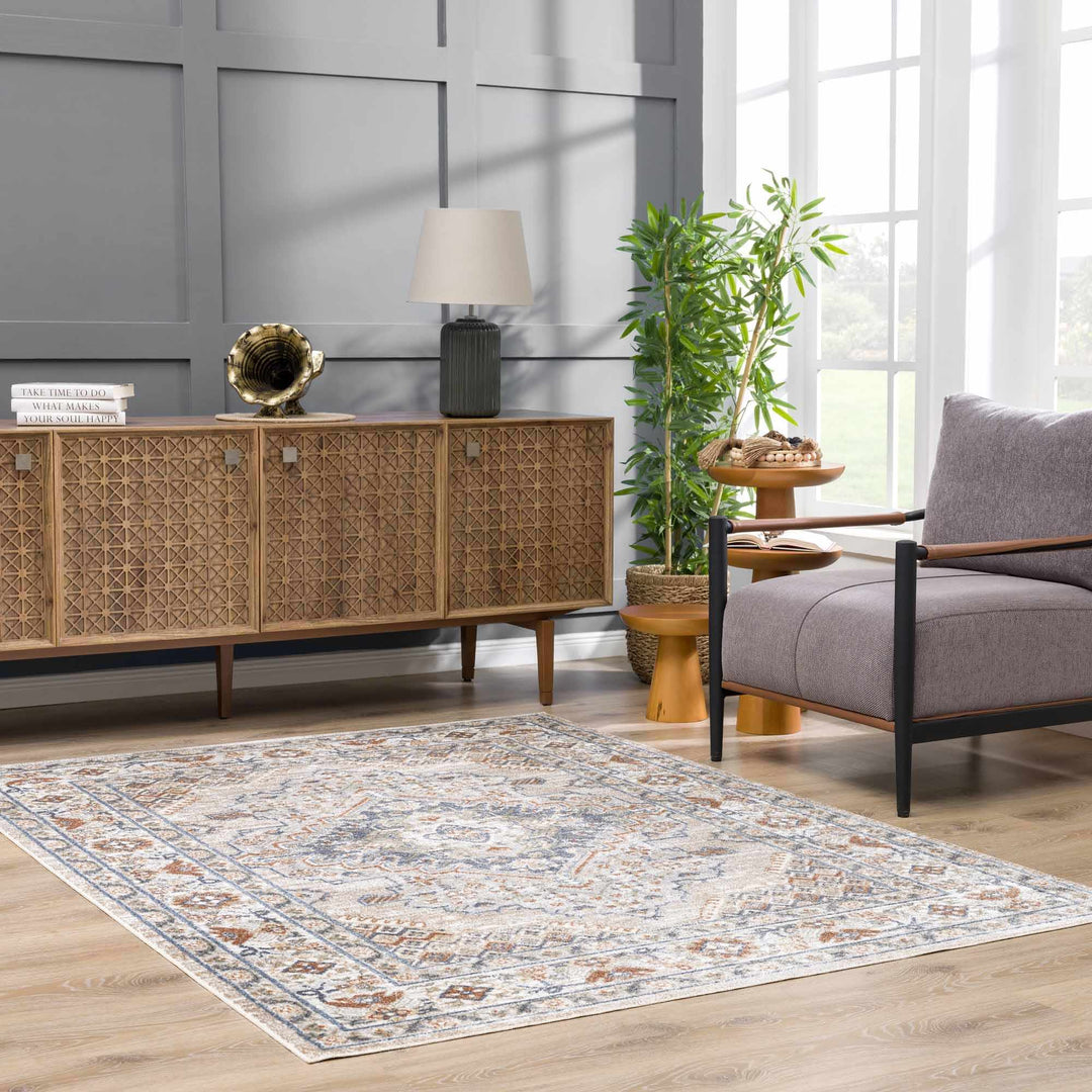 Charcoal, Camel, Silver and Brown Traditional Heriz Area Rug - The Rug Decor