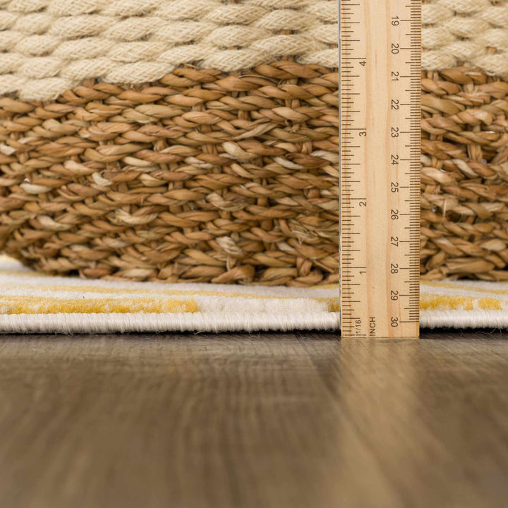 Contemporary Abstract Zebra pattern Beige and Gold Medium pile Area Rug - The Rug Decor