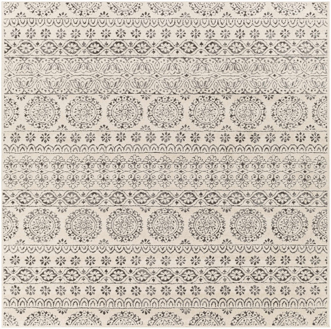 Contemporary Beige and Charcoal Tribal Design Medium Pile Area Rug - The Rug Decor
