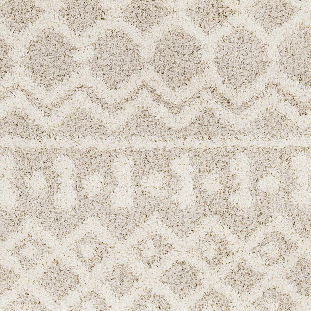 Contemporary Beige and Ivory Tribal Design Plush pile Multi Size Area Rug - The Rug Decor