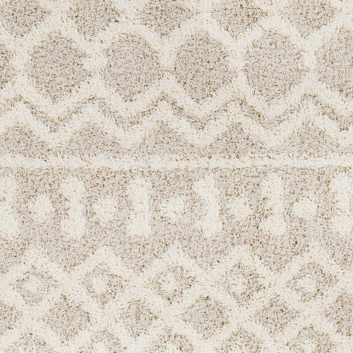 Contemporary Beige and Ivory Tribal Design Plush pile Multi Size Area Rug - The Rug Decor