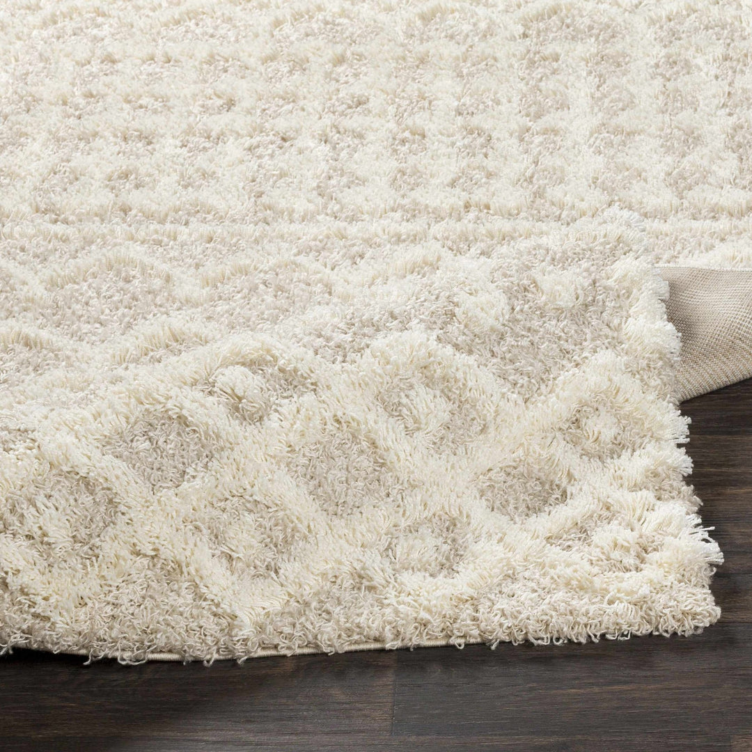 Contemporary Beige and Ivory Tribal Design Plush pile Multi Size Area Rug - The Rug Decor