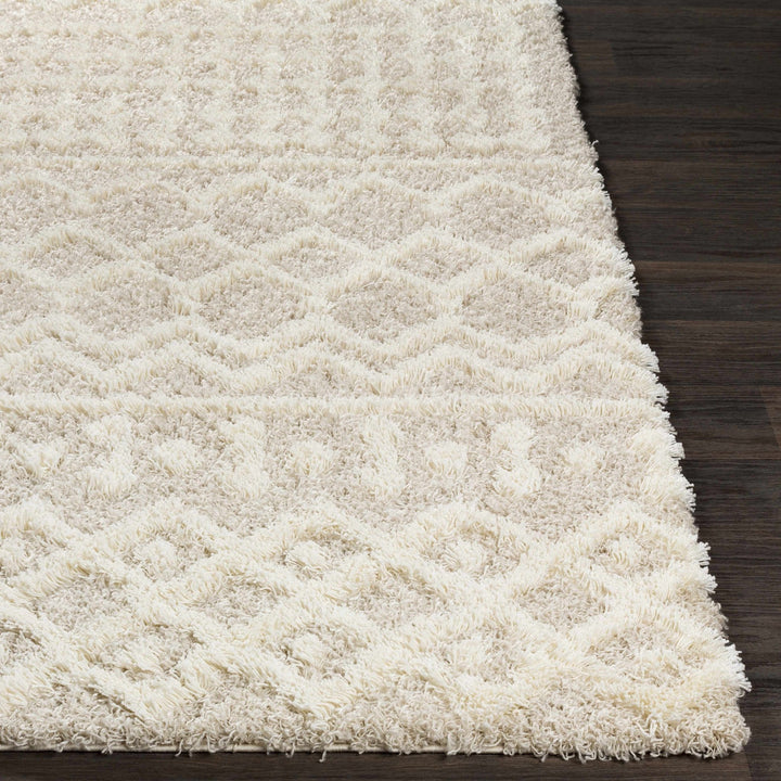 Contemporary Beige and Ivory Tribal Design Plush pile Multi Size Area Rug - The Rug Decor