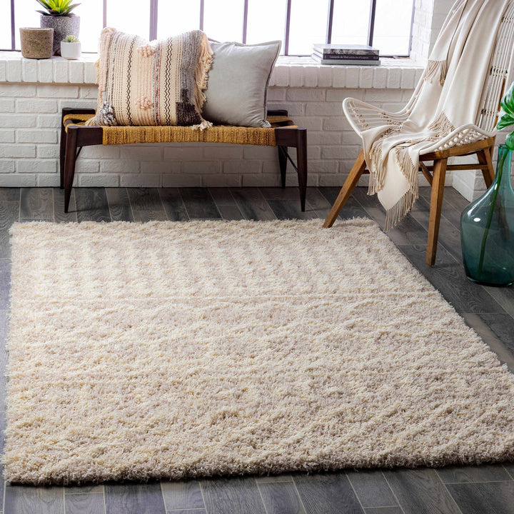 Contemporary Beige and Ivory Tribal Design Plush pile Multi Size Area Rug - The Rug Decor