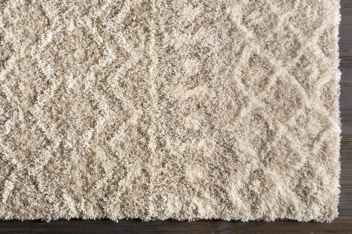 Contemporary Beige and Ivory Tribal Design Plush pile Multi Size Area Rug - The Rug Decor