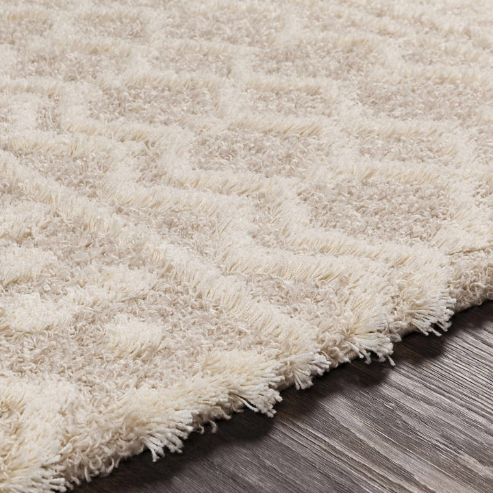 Contemporary Beige and Ivory Tribal Design Plush pile Multi Size Area Rug - The Rug Decor
