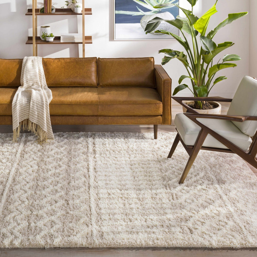 Contemporary Beige and Ivory Tribal Design Plush pile Multi Size Area Rug - The Rug Decor