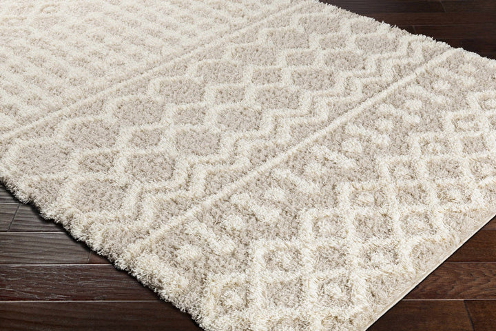 Contemporary Beige and Ivory Tribal Design Plush pile Multi Size Area Rug - The Rug Decor