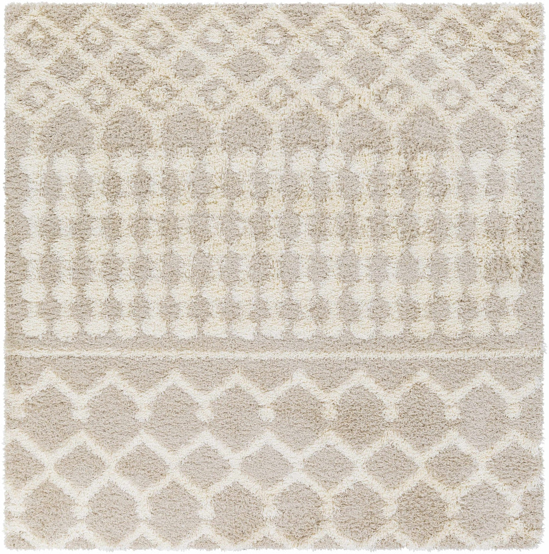 Contemporary Beige and Ivory Tribal Design Plush pile Multi Size Area Rug - The Rug Decor