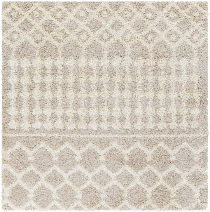 Contemporary Beige and Ivory Tribal Design Plush pile Multi Size Area Rug - The Rug Decor