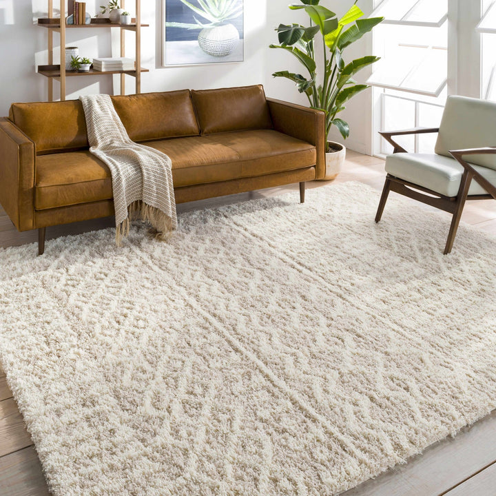 Contemporary Beige and Ivory Tribal Design Plush pile Multi Size Area Rug - The Rug Decor