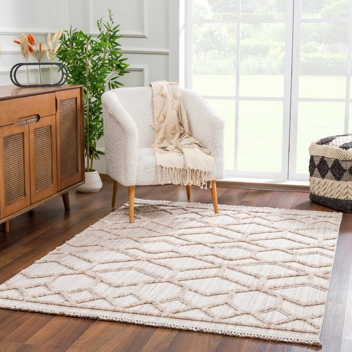 Contemporary Beige and Light Peach High/Low pile Texture Area Rug - The Rug Decor