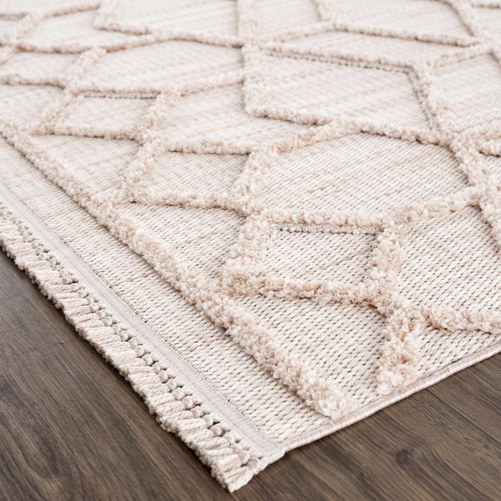 Contemporary Beige and Light Peach High/Low pile Texture Area Rug - The Rug Decor