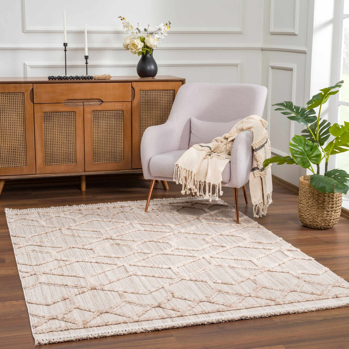 Contemporary Beige and Light Peach High/Low pile Texture Area Rug - The Rug Decor