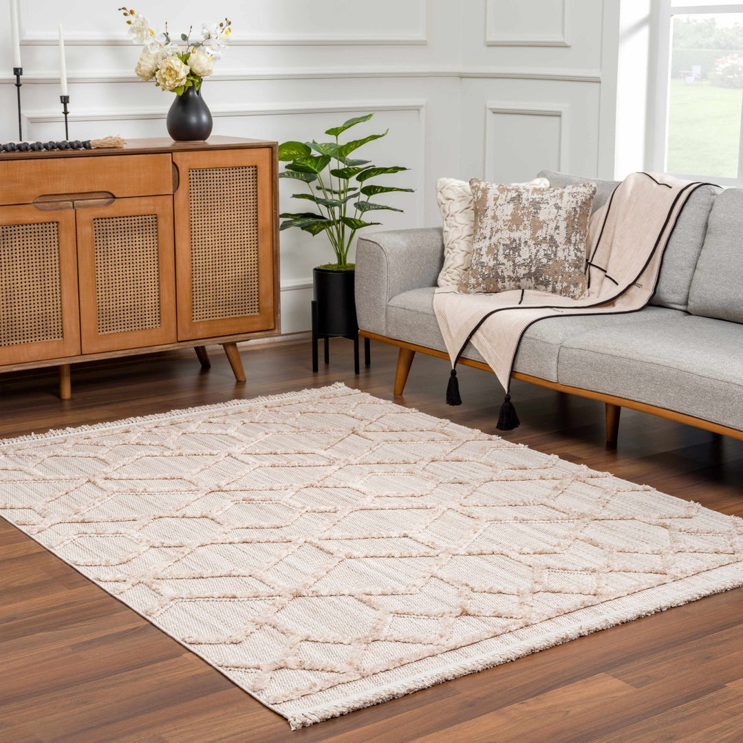 Contemporary Beige and Light Peach High/Low pile Texture Area Rug - The Rug Decor