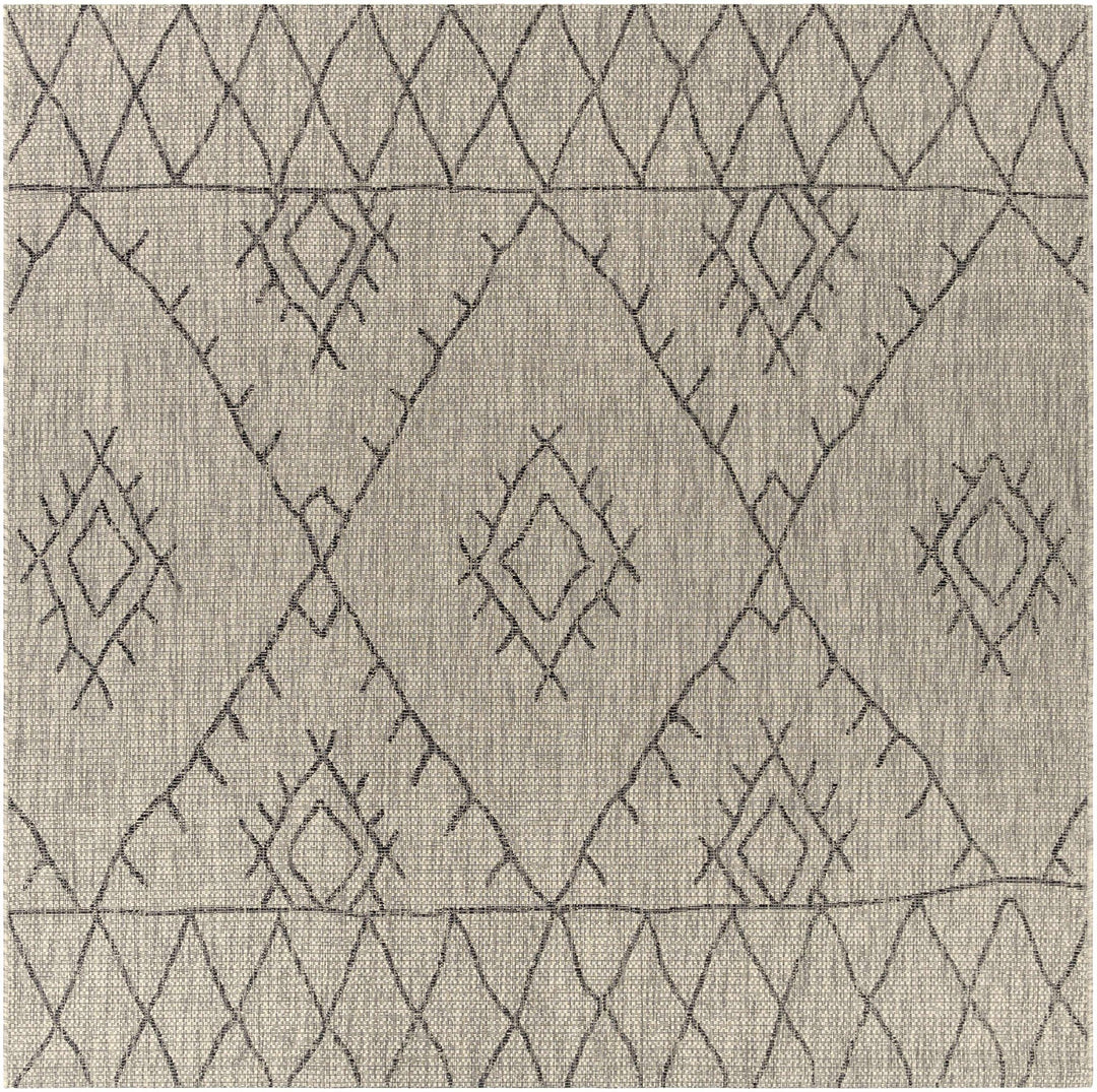 Contemporary Beige, Black and Charcoal Multi Size Outdoor Area Rug - The Rug Decor