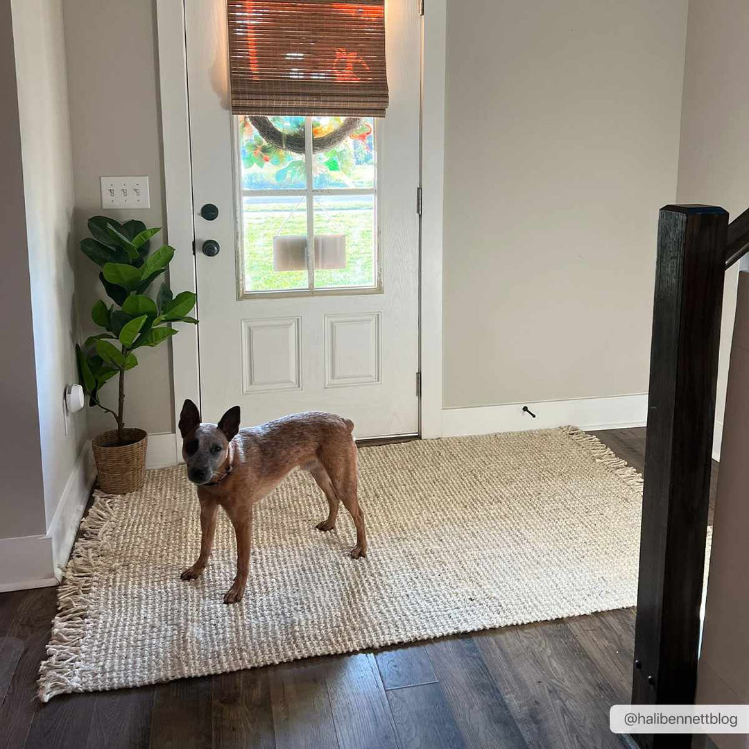 Contemporary Solid Hand Woven Tan Natural Fiber Jute Multi Size Area Rug - The Rug Decor