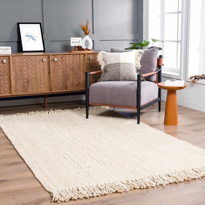 Contemporary Solid Hand Woven Tan Natural Fiber Jute Multi Size Area Rug - The Rug Decor