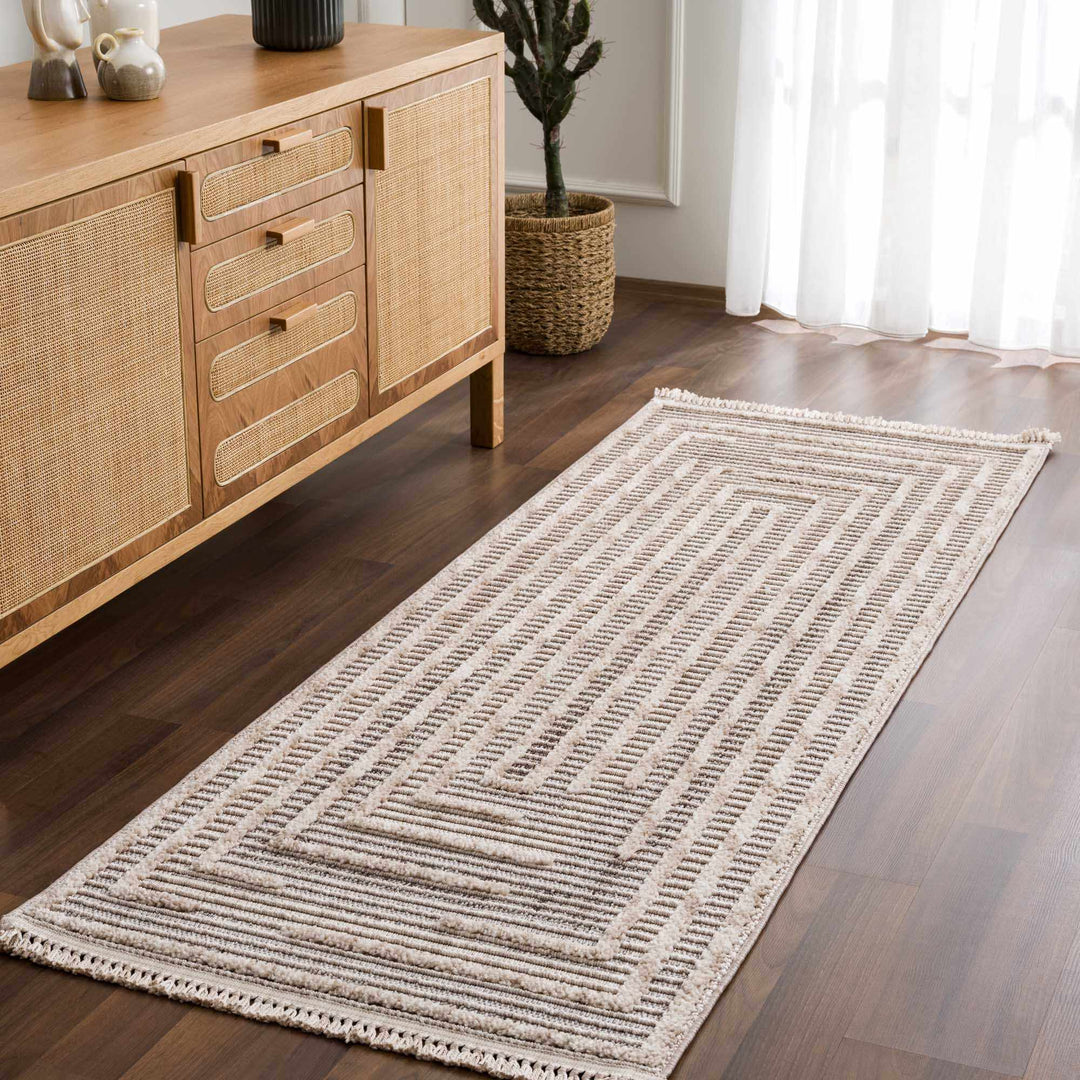 Contemporary Solid Stripes Peach, Beige and Gray High-Low Pile Area Rug - The Rug Decor