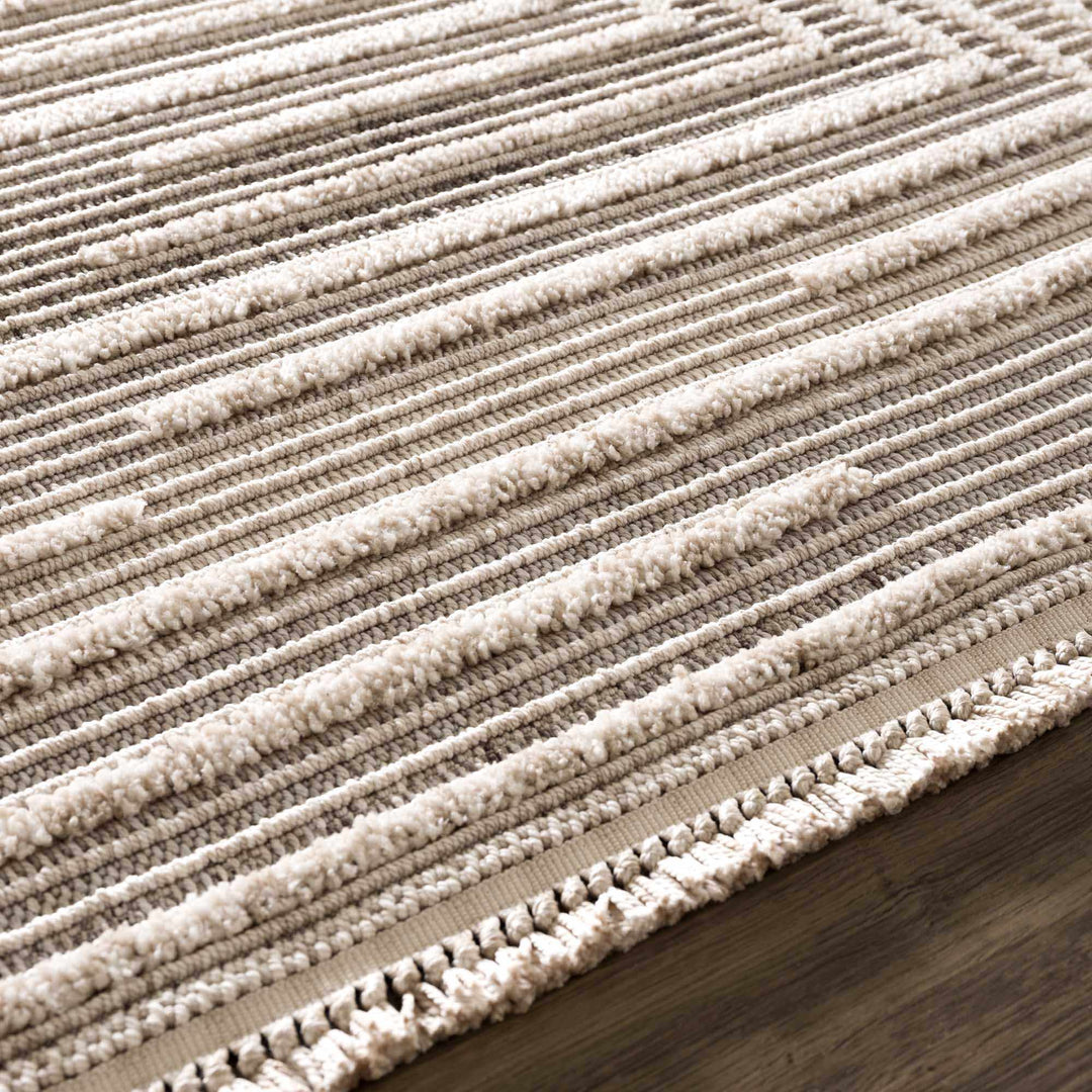 Contemporary Solid Stripes Peach, Beige and Gray High-Low Pile Area Rug - The Rug Decor