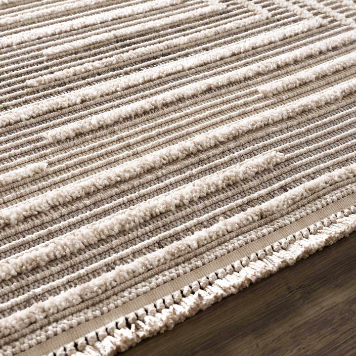 Contemporary Solid Stripes Peach, Beige and Gray High-Low Pile Area Rug - The Rug Decor