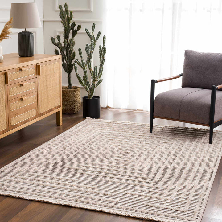 Contemporary Solid Stripes Peach, Beige and Gray High-Low Pile Area Rug - The Rug Decor