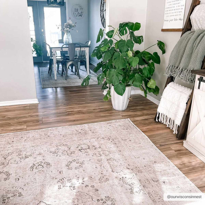 light Pink and Charcoal Traditional Medallion washable Turkish design rug - The Rug Decor