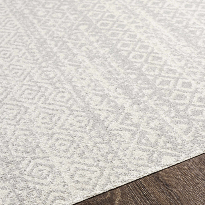 Light Silver and Beige Machine woven Traditional Moroccan Pattern Machine Washable Area Rug - The Rug Decor