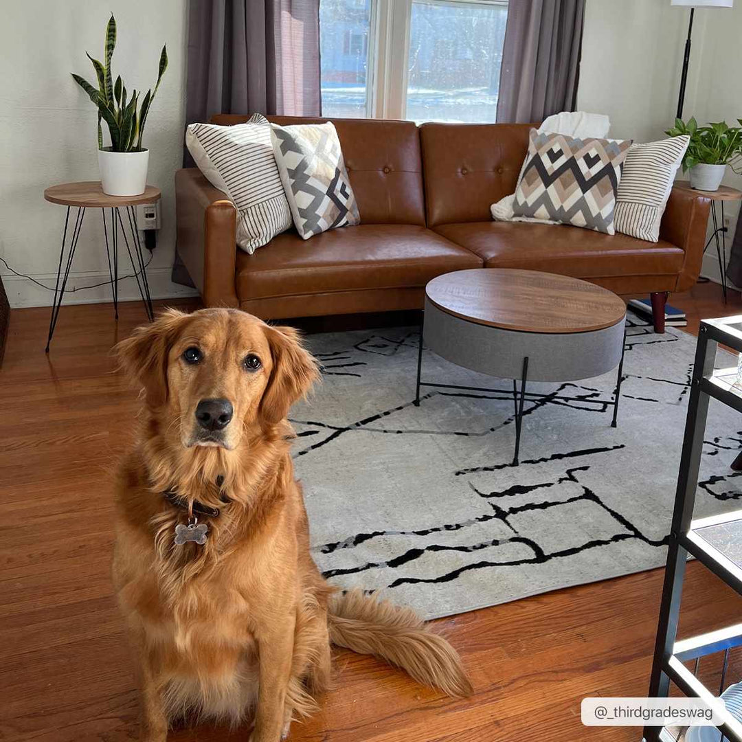 Modern Art Design Machine Woven Ivory and Black Machine Washable Rug - The Rug Decor