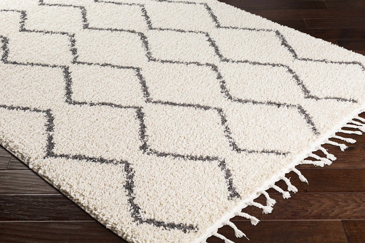 Modern Contemporary Beige and Charcoal Plush Pile Multi size Area Rug - The Rug Decor