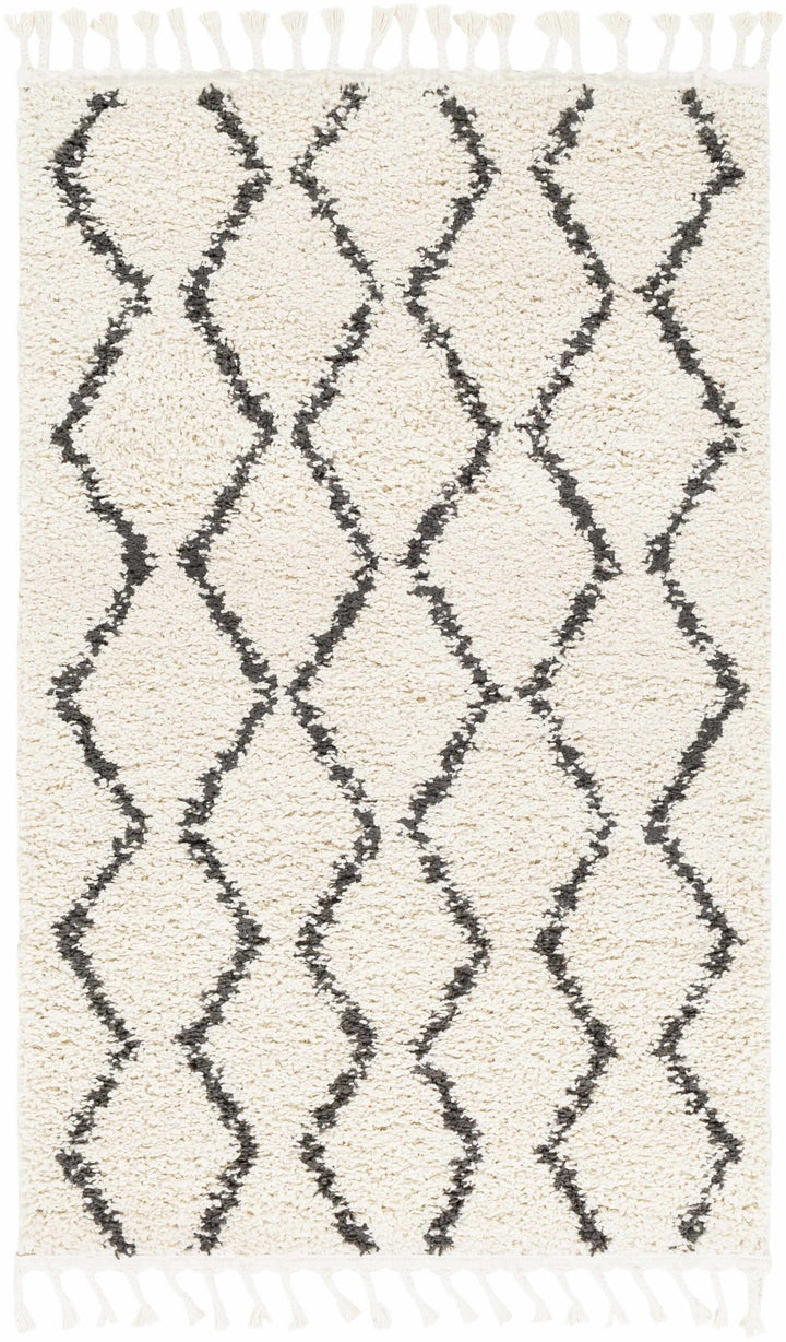 Modern Contemporary Beige and Charcoal Plush Pile Multi size Area Rug - The Rug Decor