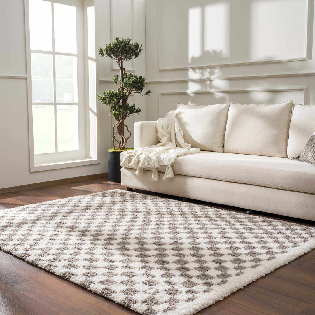 Modern Geometric Checkered plush White, Light Gray polyester area rug - The Rug Decor