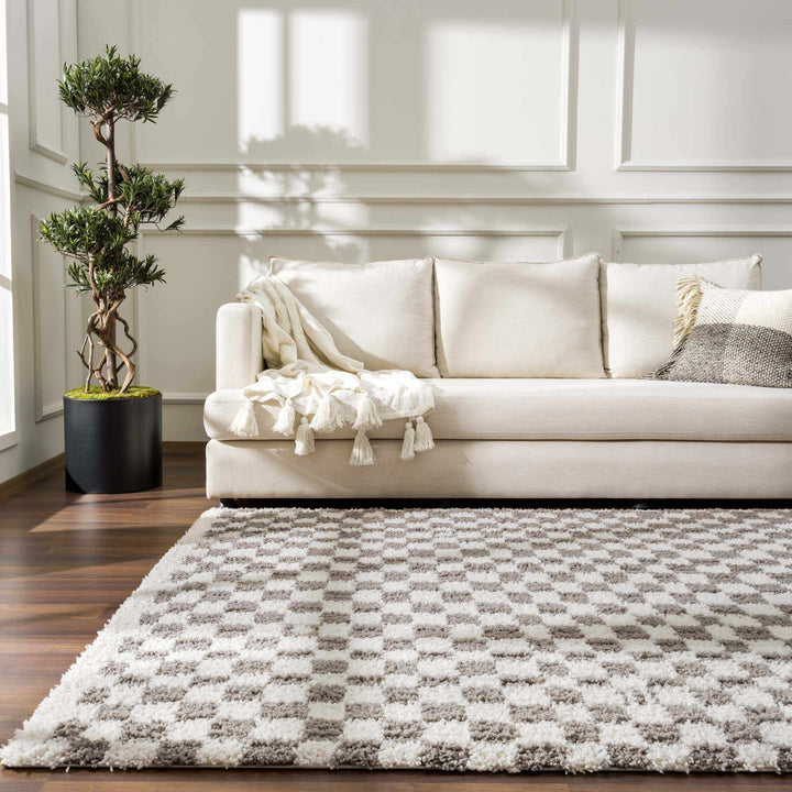 Modern Geometric Checkered plush White, Light Gray polyester area rug - The Rug Decor