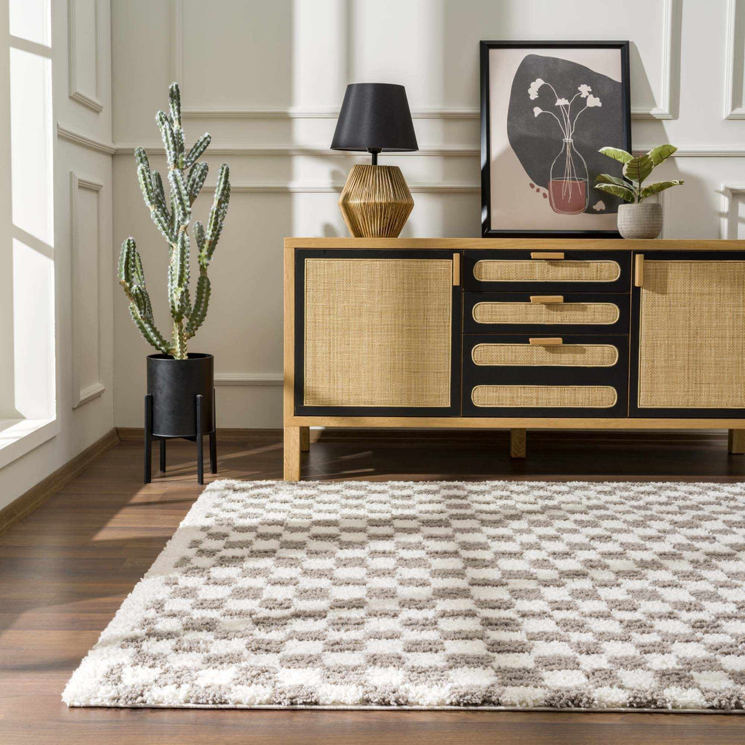 Modern Geometric Checkered plush White, Light Gray polyester area rug - The Rug Decor