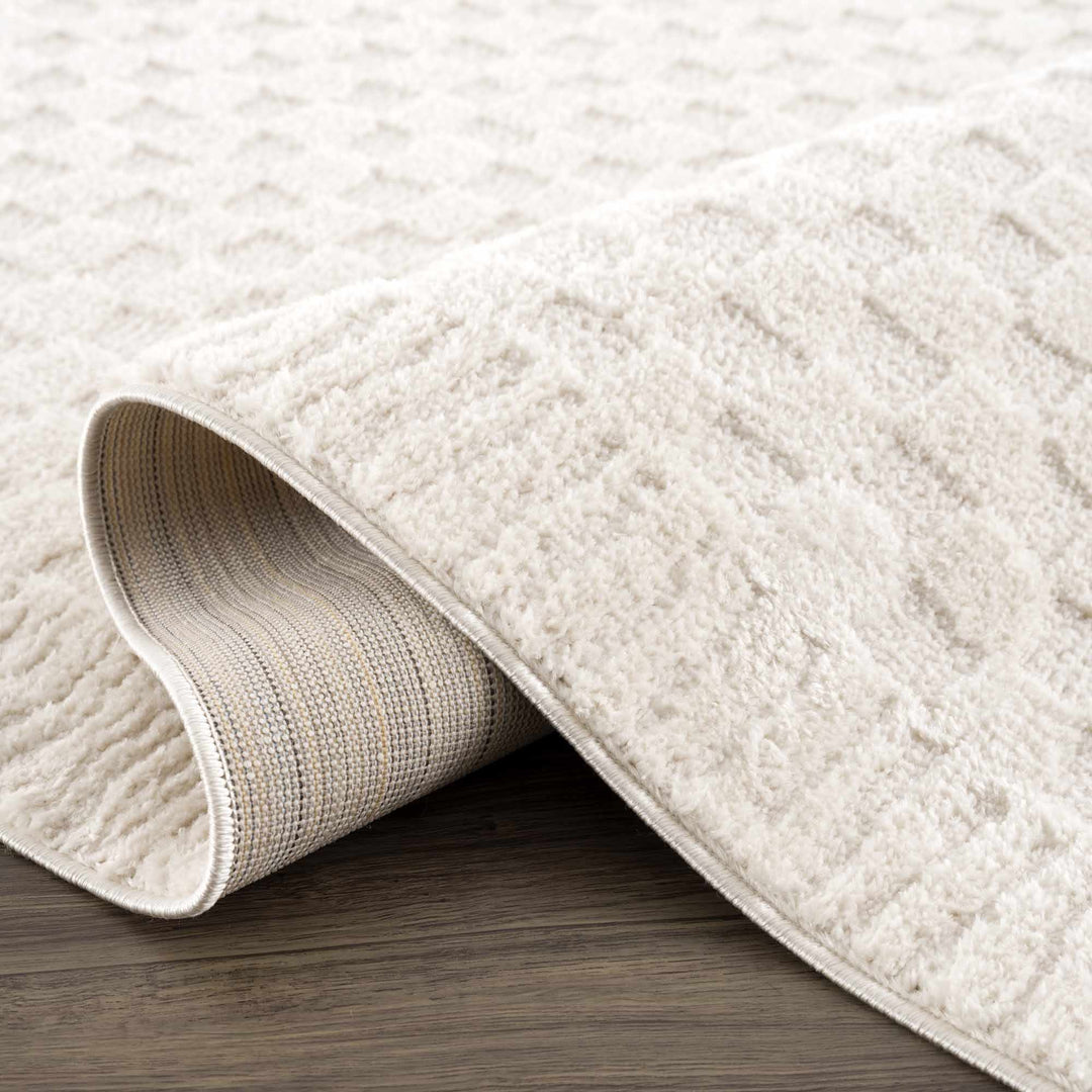 Modern Geometrical Beige Checkered Plush Pile Moroccan Style Area Rug - The Rug Decor