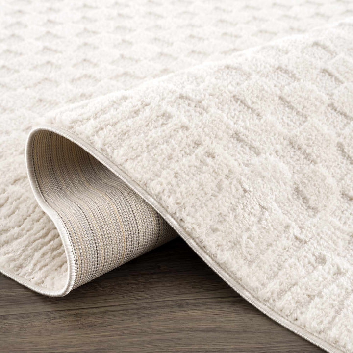 Modern Geometrical Beige Checkered Plush Pile Moroccan Style Area Rug - The Rug Decor