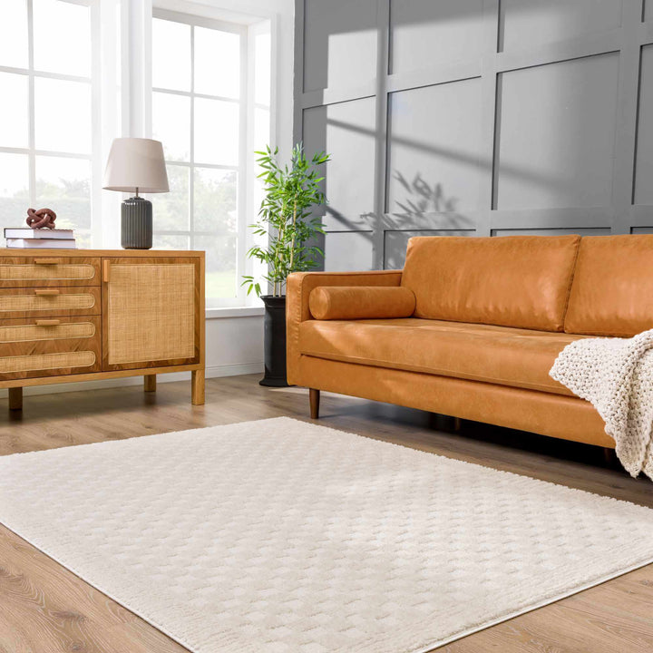 Modern Geometrical Beige Checkered Plush Pile Moroccan Style Area Rug - The Rug Decor