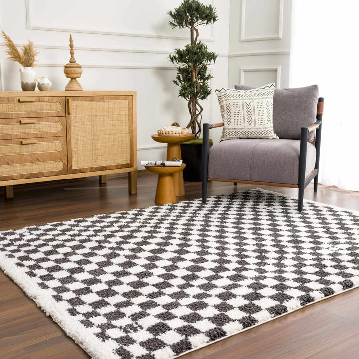 Modern Geometrical Charcoal and Ivory Checkered Plush Pile Moroccan Style Area Rug - The Rug Decor