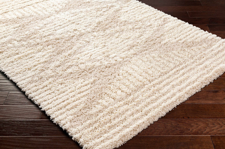 Modern Geometrical Ivory and Beige Plush Pile Moroccan Style Area Rug - The Rug Decor