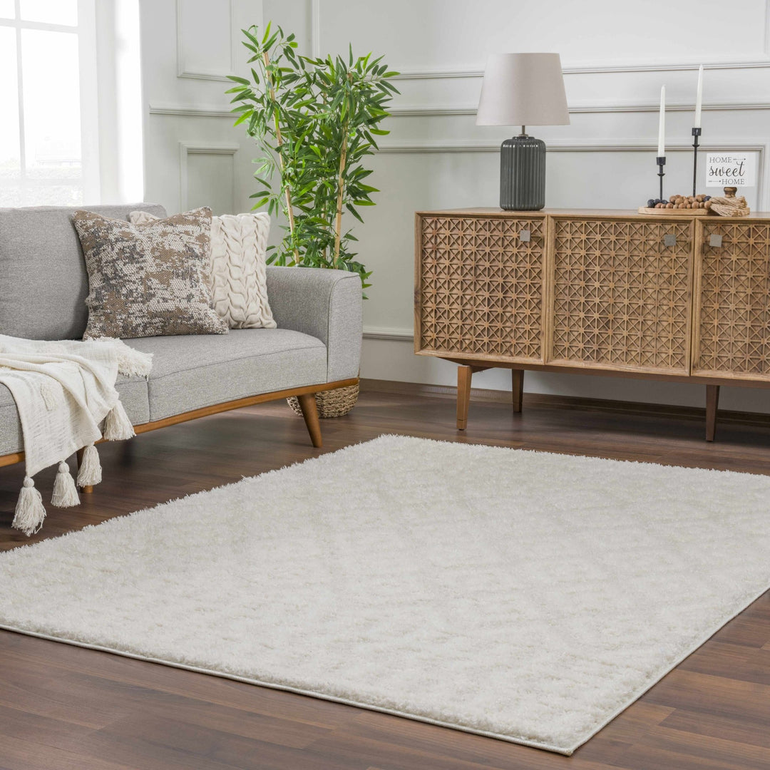 Modern Geometrical Texture Ivory Plush Pile Moroccan Style Area Rug - The Rug Decor