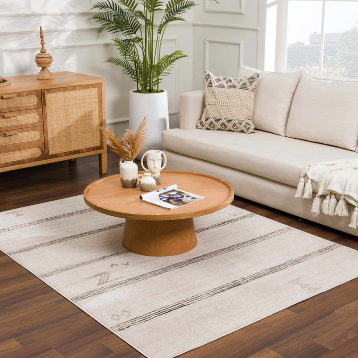 Modern Stripes Design Light Peach and Charcoal Area Rug - The Rug Decor