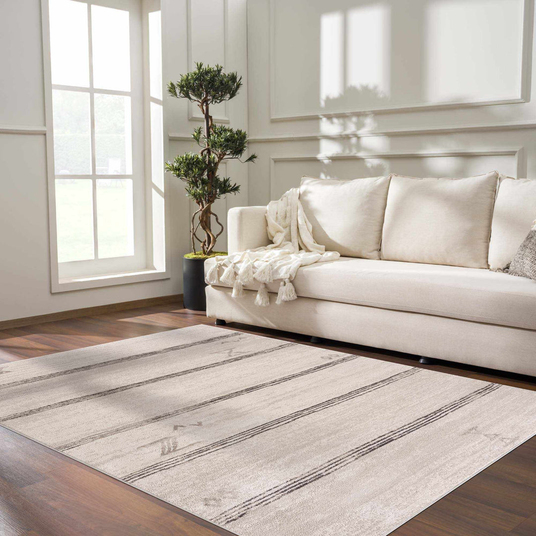 Modern Stripes Design Light Peach and Charcoal Area Rug - The Rug Decor