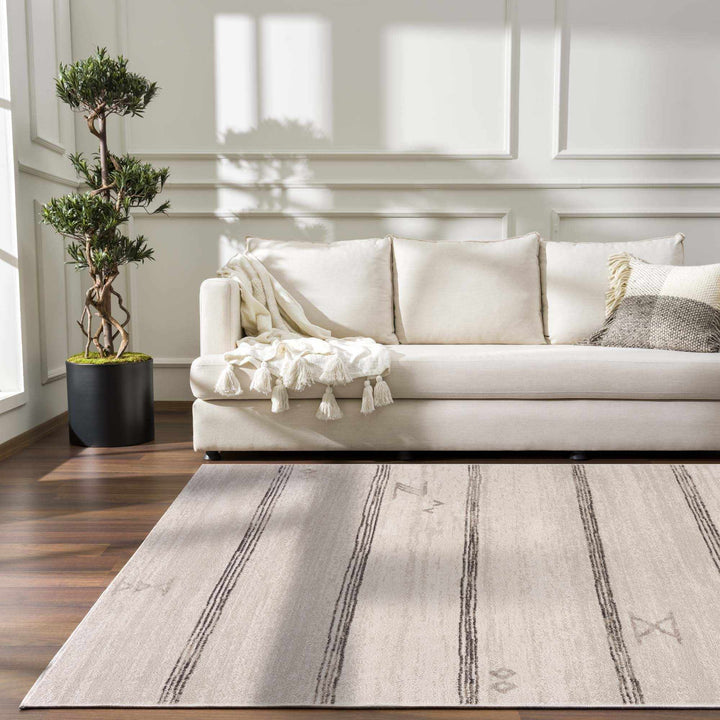 Modern Stripes Design Light Peach and Charcoal Area Rug - The Rug Decor