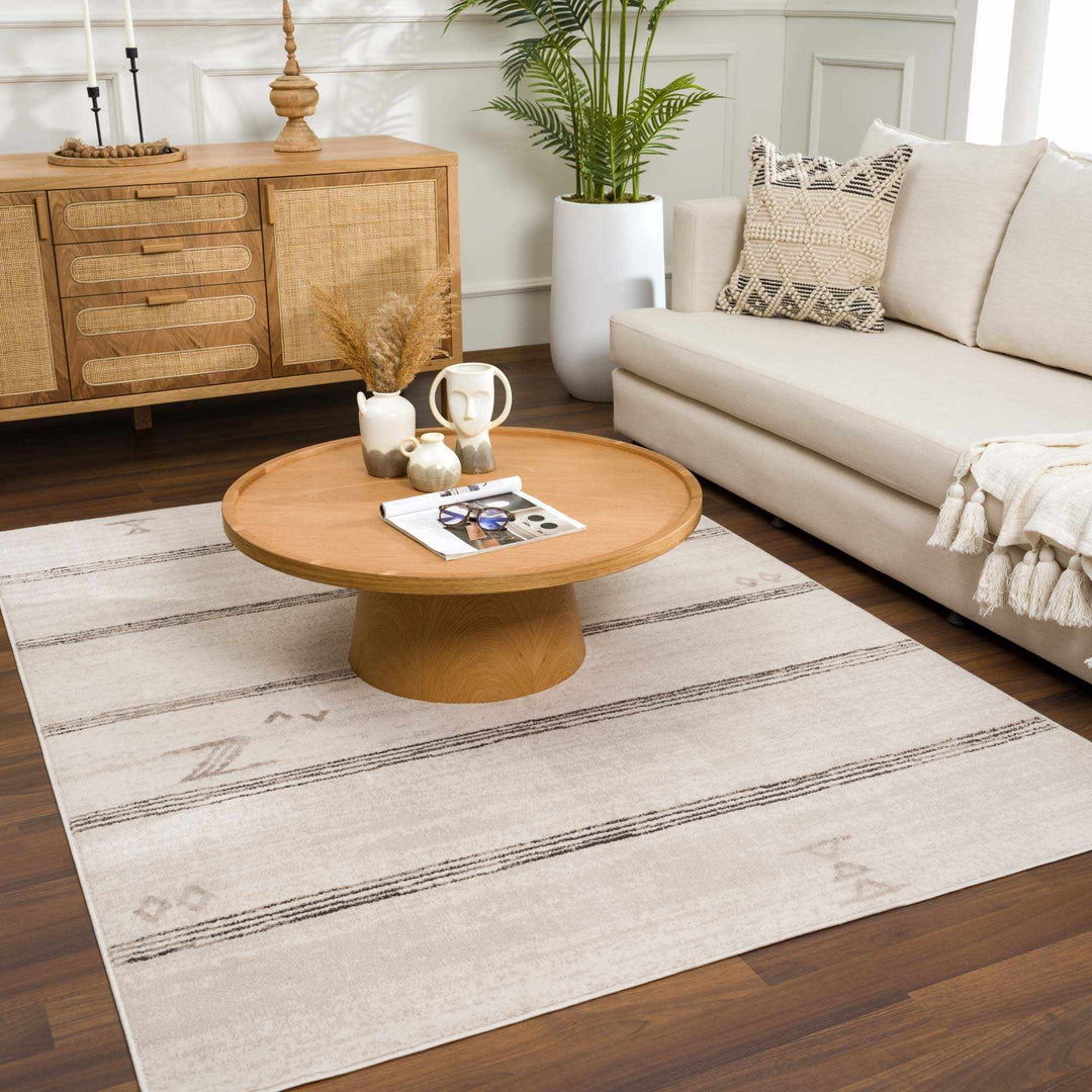 Modern Stripes Design Light Peach and Charcoal Area Rug - The Rug Decor