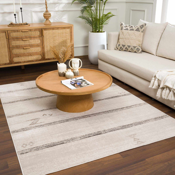 Modern Stripes Design Light Peach and Charcoal Area Rug - The Rug Decor