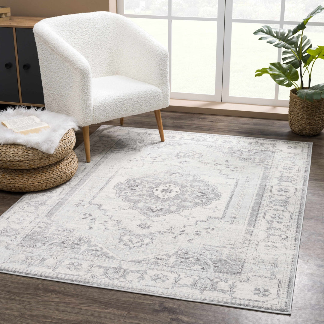 Oriental Bohemian Ivory and Gray Medium pile multi size Area Rug - The Rug Decor
