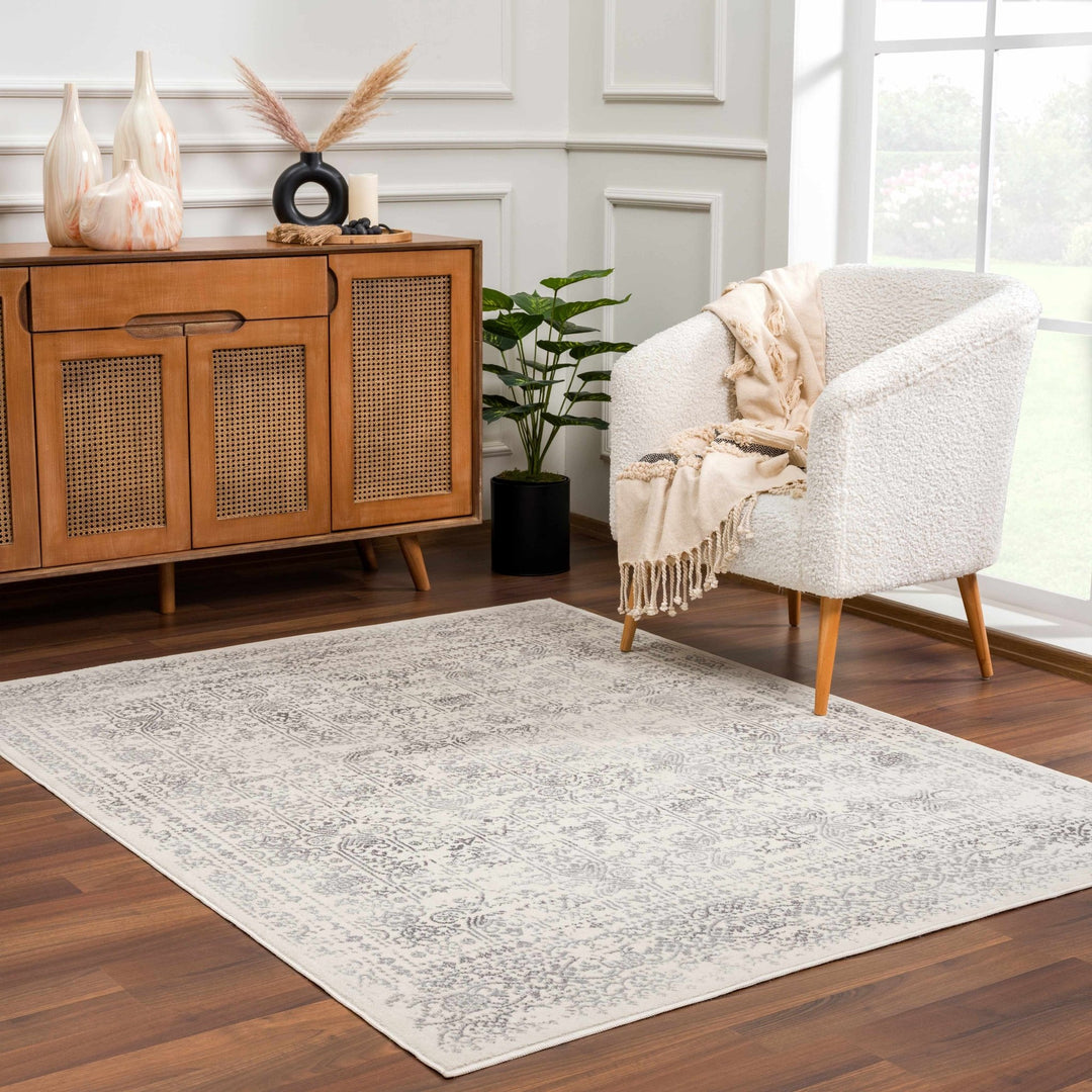 Traditional Beige ang Gray Medium Pile Multi Size Area Rug - The Rug Decor
